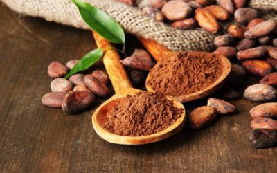 Want More From Your Brain? 10 Benefits of Raw Cacao